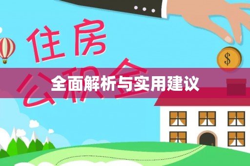 定陶全面解析与实用建议