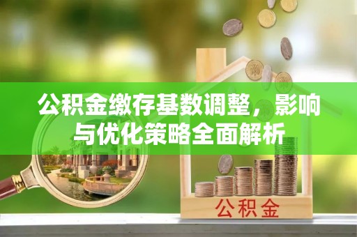 定陶公积金缴存基数调整，影响与优化策略全面解析