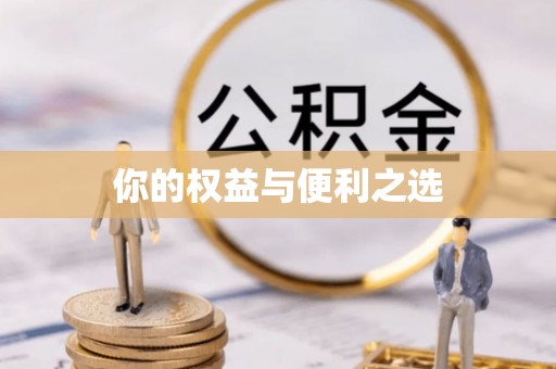 定陶你的权益与便利之选
