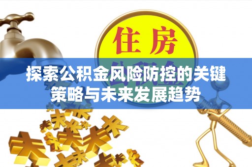定陶探索公积金风险防控的关键策略与未来发展趋势