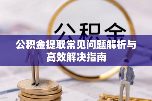 定陶公积金提取常见问题解析与高效解决指南
