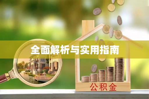 定陶全面解析与实用指南