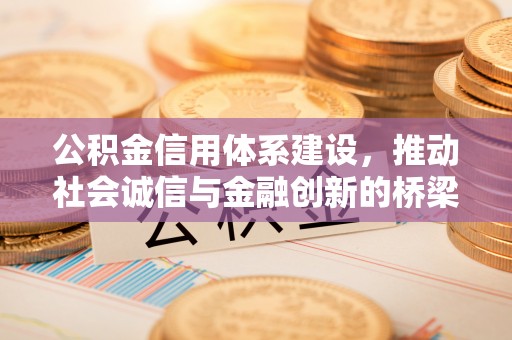 定陶公积金信用体系建设，推动社会诚信与金融创新的桥梁