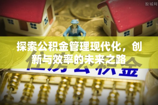 定陶探索公积金管理现代化，创新与效率的未来之路