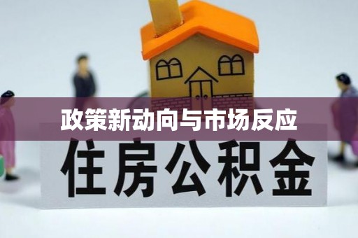 定陶政策新动向与市场反应
