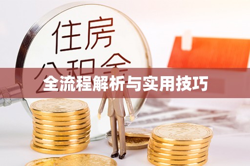 定陶全流程解析与实用技巧