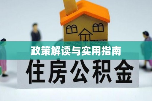 定陶政策解读与实用指南