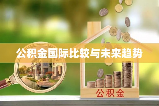 定陶公积金国际比较与未来趋势