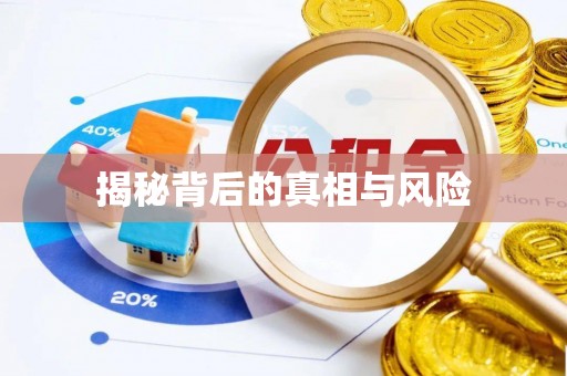 定陶揭秘背后的真相与风险