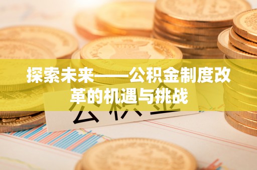 定陶探索未来——公积金制度改革的机遇与挑战