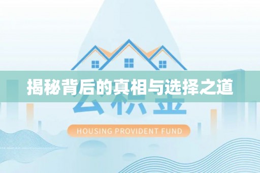 定陶揭秘背后的真相与选择之道