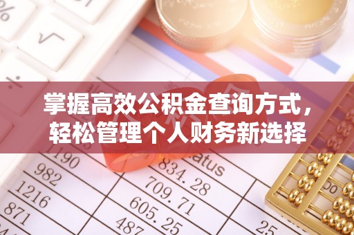 定陶掌握高效公积金查询方式，轻松管理个人财务新选择