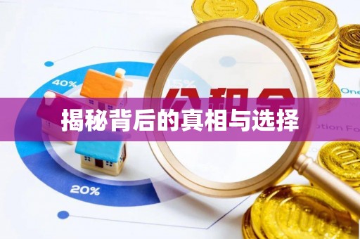 定陶揭秘背后的真相与选择