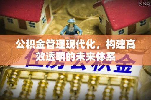 定陶公积金管理现代化，构建高效透明的未来体系