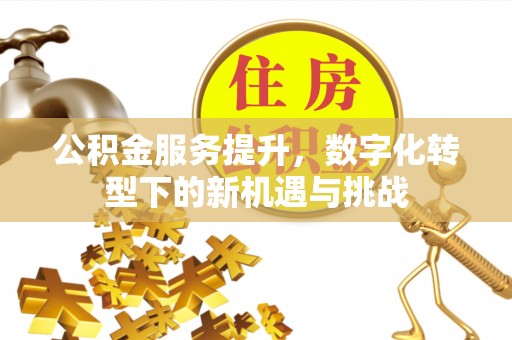 定陶公积金服务提升，数字化转型下的新机遇与挑战