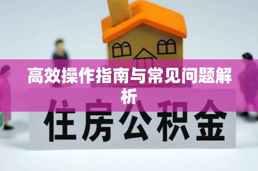 定陶高效操作指南与常见问题解析