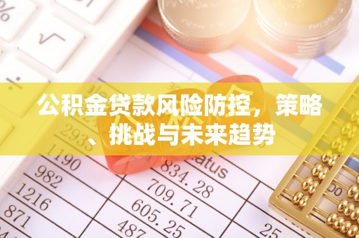 定陶公积金贷款风险防控，策略、挑战与未来趋势