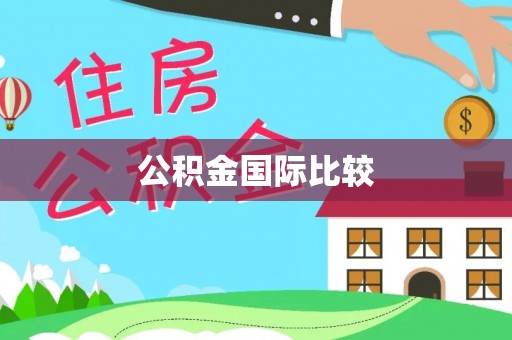 定陶公积金国际比较