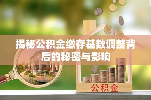 定陶揭秘公积金缴存基数调整背后的秘密与影响