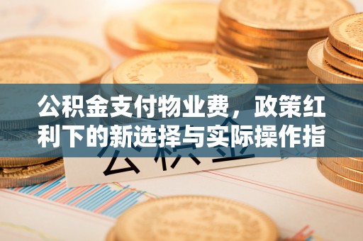 定陶公积金支付物业费，政策红利下的新选择与实际操作指南