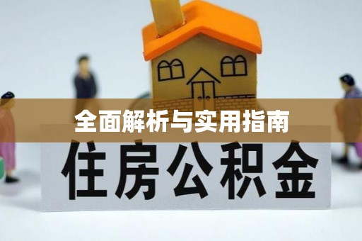 定陶全面解析与实用指南