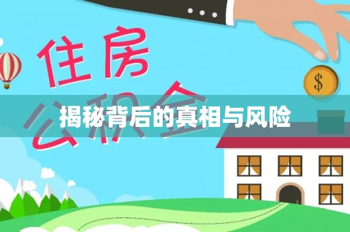 定陶揭秘背后的真相与风险