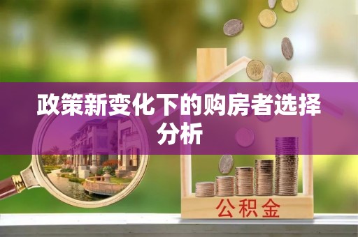 定陶政策新变化下的购房者选择分析