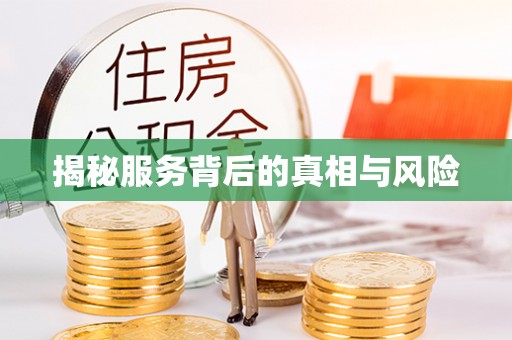 定陶揭秘服务背后的真相与风险