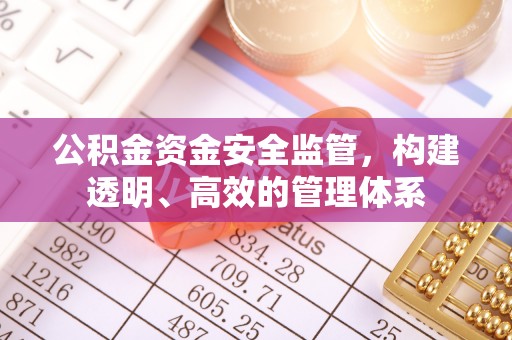定陶公积金资金安全监管，构建透明、高效的管理体系