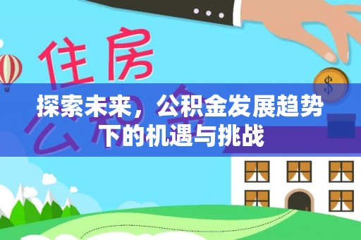 定陶探索未来，公积金发展趋势下的机遇与挑战