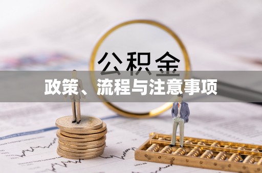 定陶政策、流程与注意事项