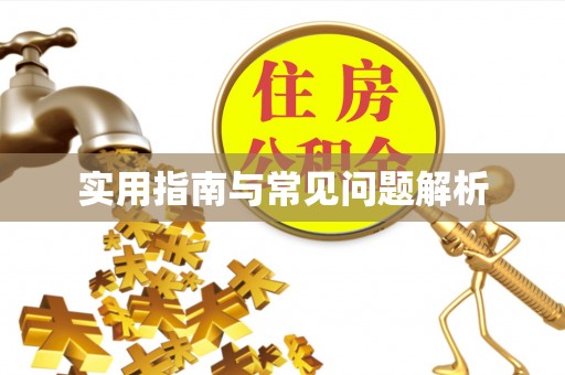 定陶实用指南与常见问题解析