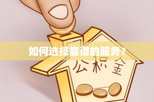 定陶如何选择靠谱的服务？