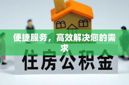定陶便捷服务，高效解决您的需求