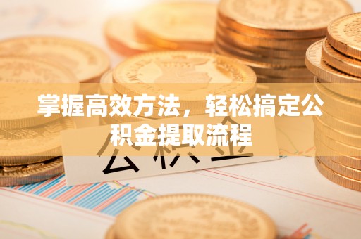 定陶掌握高效方法，轻松搞定公积金提取流程