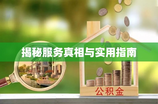 定陶揭秘服务真相与实用指南