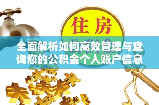 定陶全面解析如何高效管理与查询您的公积金个人账户信息