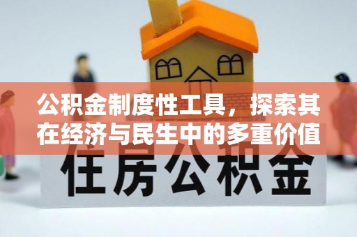 定陶公积金制度性工具，探索其在经济与民生中的多重价值