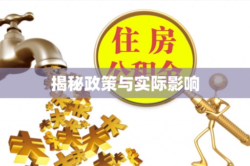 定陶揭秘政策与实际影响