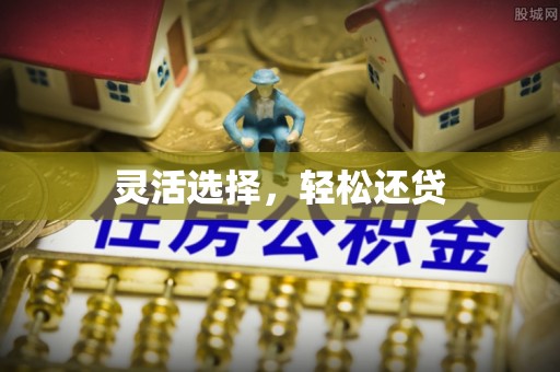 定陶灵活选择，轻松还贷