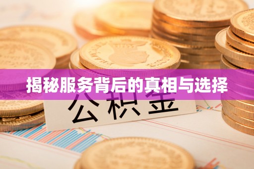 定陶揭秘服务背后的真相与选择
