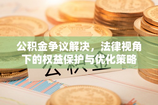 定陶公积金争议解决，法律视角下的权益保护与优化策略