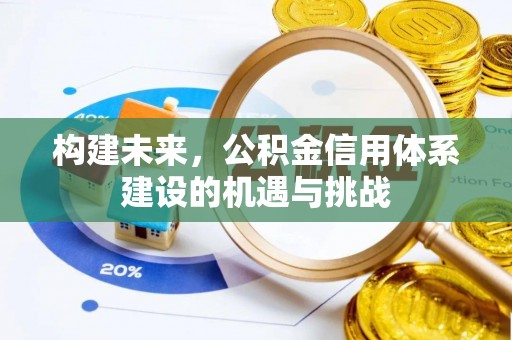 定陶构建未来，公积金信用体系建设的机遇与挑战