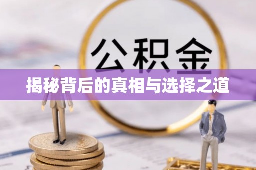 定陶揭秘背后的真相与选择之道
