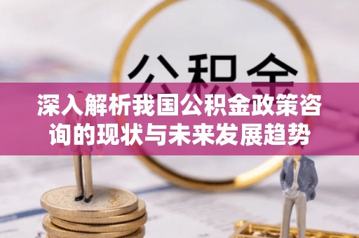 定陶深入解析我国公积金政策咨询的现状与未来发展趋势