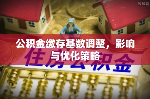 定陶公积金缴存基数调整，影响与优化策略