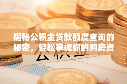 定陶揭秘公积金贷款额度查询的秘密，轻松掌握你的购房资金