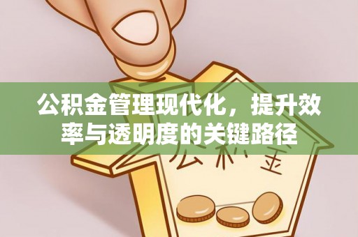 定陶公积金管理现代化，提升效率与透明度的关键路径