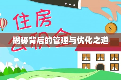 定陶揭秘背后的管理与优化之道