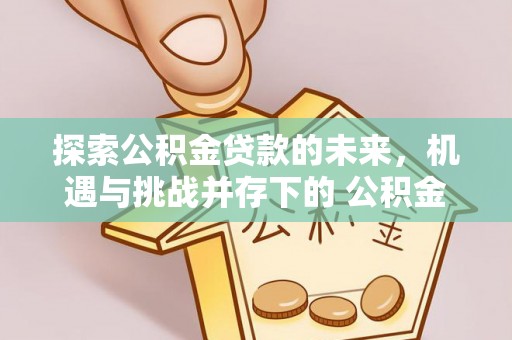 定陶探索公积金贷款的未来，机遇与挑战并存下的 公积金贷款风险防控